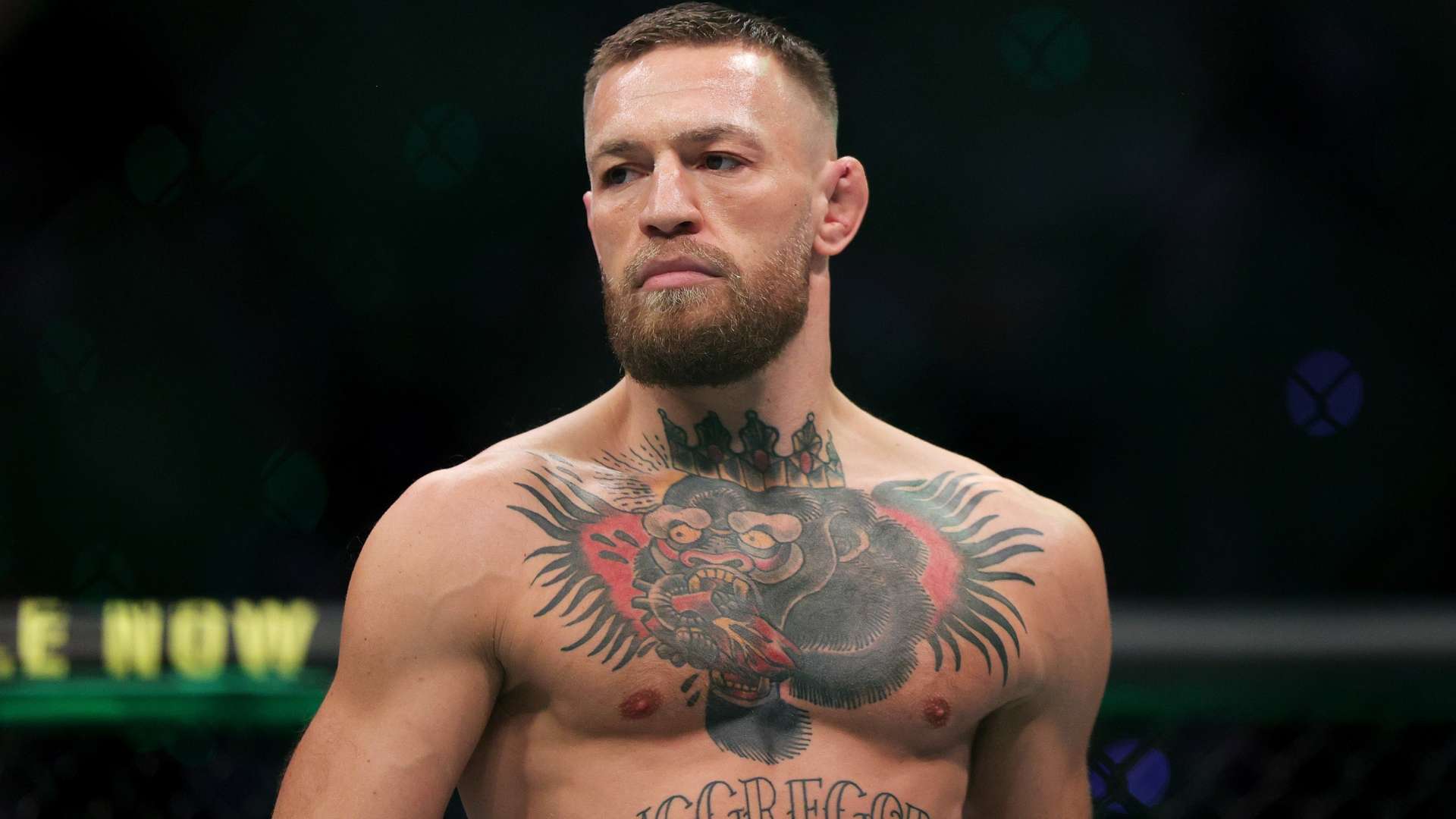 特别是在主 特别是在主